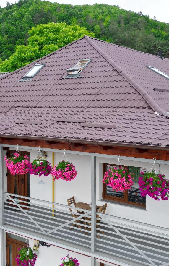 Vaias Aparts Târgu Neamţ Dış mekan fotoğraf